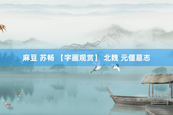 麻豆 苏畅 【字画观赏】 北魏 元偃墓志