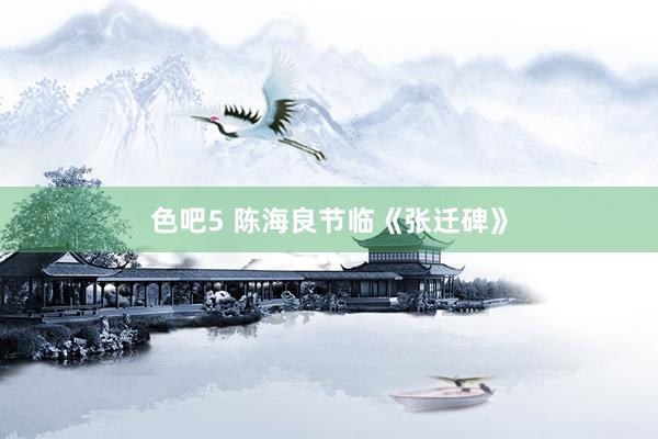 色吧5 陈海良节临《张迁碑》