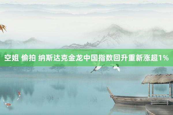 空姐 偷拍 纳斯达克金龙中国指数回升重新涨超1%