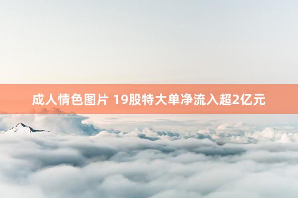 成人情色图片 19股特大单净流入超2亿元