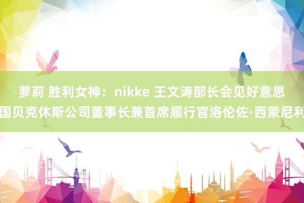 萝莉 胜利女神：nikke 王文涛部长会见好意思国贝克休斯公司董事长兼首席履行官洛伦佐·西蒙尼利