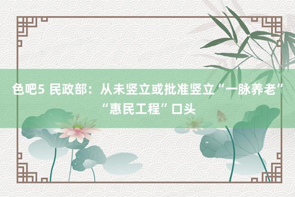 色吧5 民政部：从未竖立或批准竖立“一脉养老”“惠民工程”口头