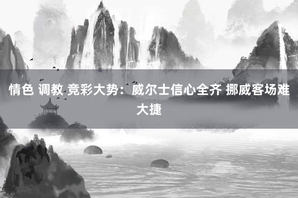 情色 调教 竞彩大势：威尔士信心全齐 挪威客场难大捷
