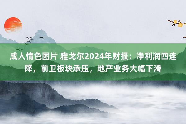 成人情色图片 雅戈尔2024年财报：净利润四连降，前卫板块承压，地产业务大幅下滑