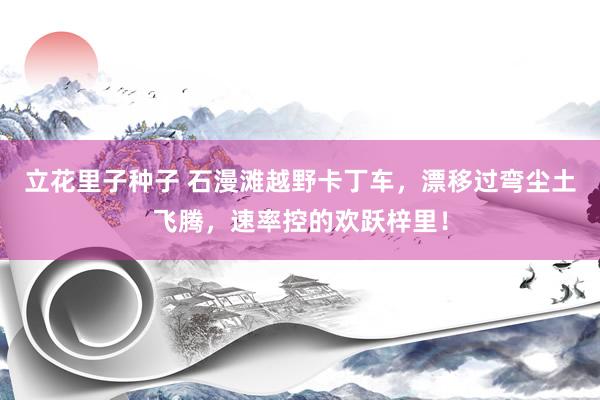 立花里子种子 石漫滩越野卡丁车，漂移过弯尘土飞腾，速率控的欢跃梓里！