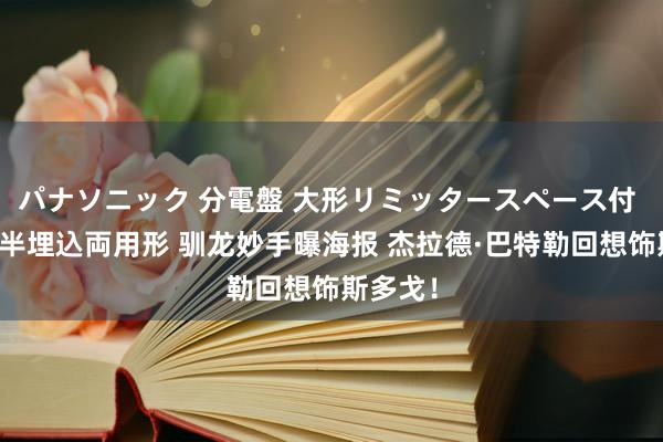 パナソニック 分電盤 大形リミッタースペース付 露出・半埋込両用形 驯龙妙手曝海报 杰拉德·巴特勒回想饰斯多戈！